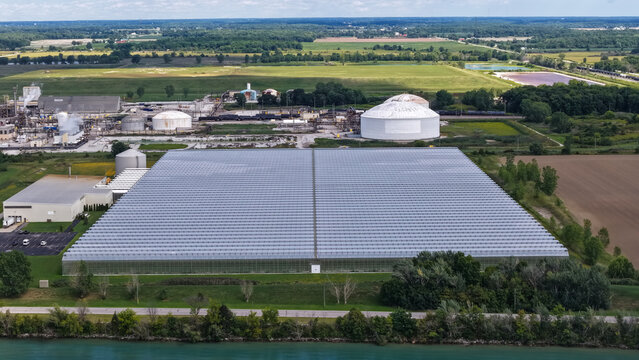 Industrial greenhouse farming facility, agriculture and food production
