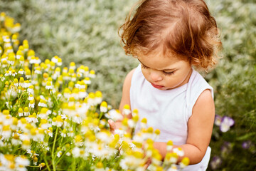 Obraz premium Flowers, explore and peace with toddler in garden for spring season, vacation and growth in meadow. Child development, bush and adventure with girl outdoor for nature, calm and countryside plant
