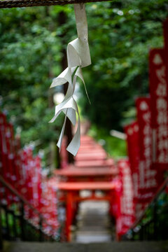 鎌倉26827　佐助稲荷神社4
