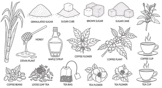 Natural sweeteners coffee tea ingredients and beverages line art