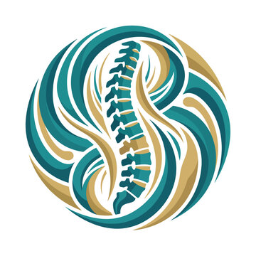 An eye-catching circular illustration of a human spine surrounded by fluid shapes conveys ideas of health, wellness, and holistic practices in chiropractic and physical therapies.