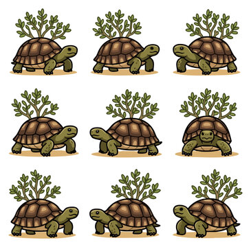 Illustration of turtles with plants on their shells in various poses