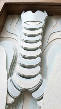 Intricate Layered Paper Art of a Vertebral Column Structure
