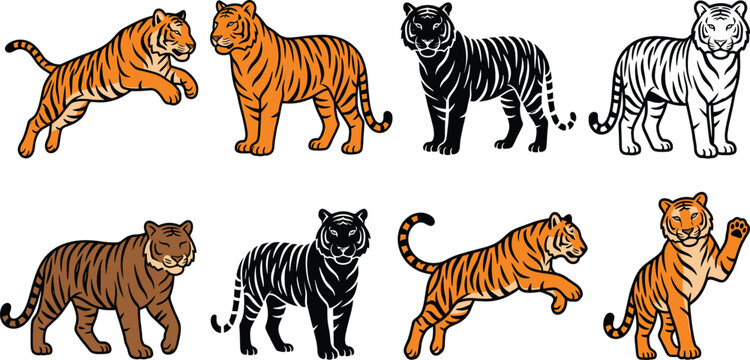 Powerful Tiger Vector Illustration Collection with Dynamic Orange Predators Black Stencil Silhouettes and White Line Art Outlines for Sports Mascots Tattoo Designs and Wildlife Branding