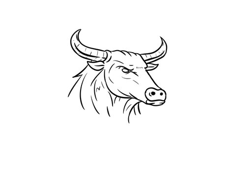bull head digital drawing illustration isolated