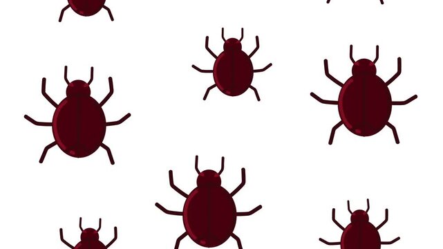 Dark red bugs crawling motion graphics, seamless animation on white background.