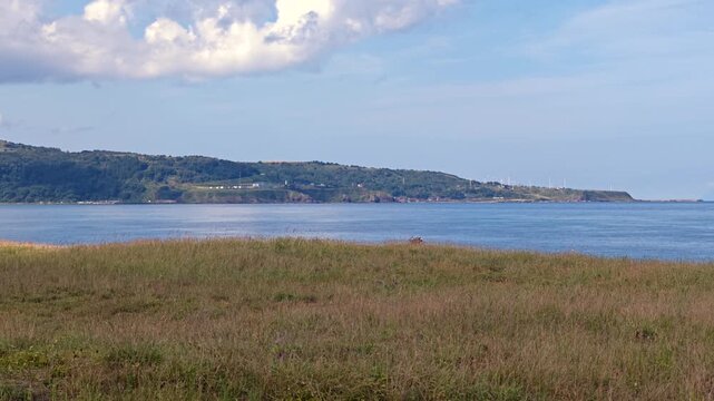 草むらから岬を望む海のb風景。