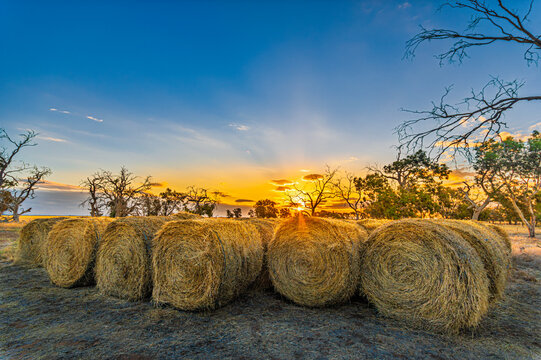 Row Of Hay Bales At Sunset