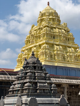 Gold-coloured vimana tower and carved black stone shrine against a blue sky at Ekambareswarar Temple, Kanchipuram, Tamil Nadu, India