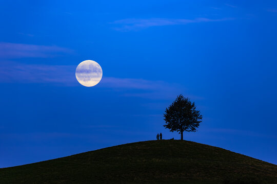 The rising full moon over a drumlin hill with a single tree and two persons sihlouettes against the dark blue sky