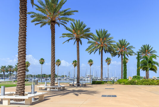 Bay with yachts in St. Petersburg, Florida, USA