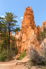 Naklejka premium Bryce canyon