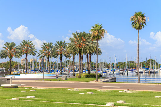 Bay with yachts in St. Petersburg, Florida, USA