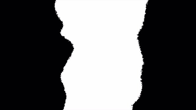 Video animation of a torn paper transition effect with a rough black and white ripped edge wipe, ProRes format