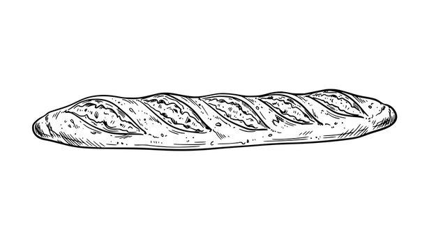 Artisan French baguette black ink hand drawn doodle sketch vector illustration