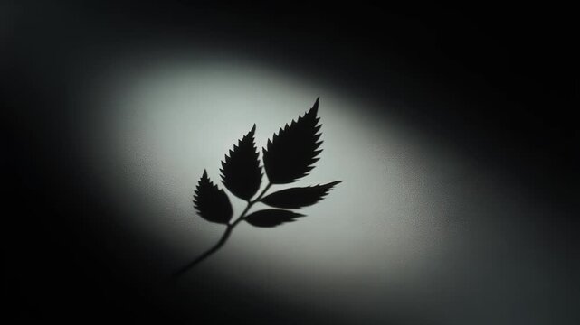 A silhouette of a serrated leaf is shown against a soft, gradient background in a triptych format.