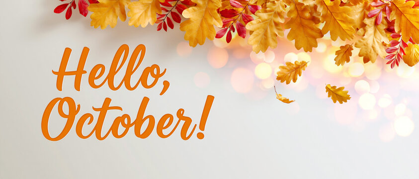 Hello october greeting with golden autumn oak leaves, red foliage and warm bokeh lights on a bright seasonal background