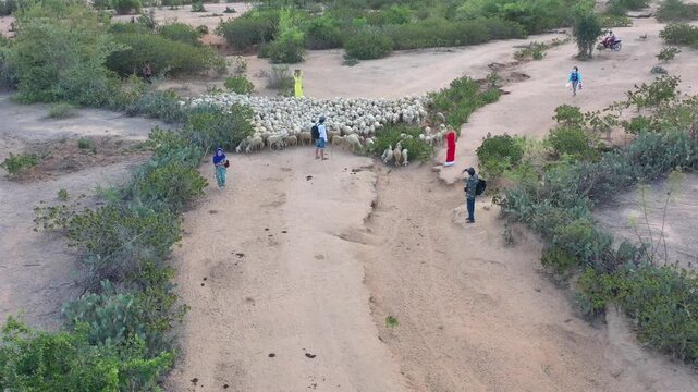 Aerial drone view of photographers capturing Cham women in traditional dress herding sheep in An Hoa Village, Xuan Hai, Khanh Hoa, Vietnam, showcasing rural life and cultural heritage.
