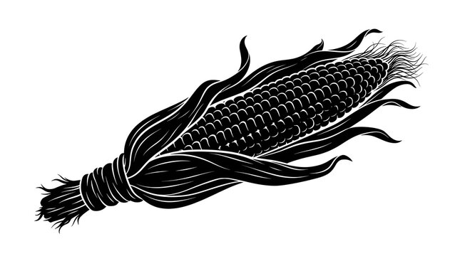 Detailed black and white vector illustration of an ear of corn with husks and silk, isolated on a white background.