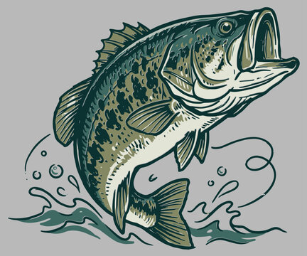 Vintage hand drawn illustration of a largemouth bass fish jumping out of the water with splashes