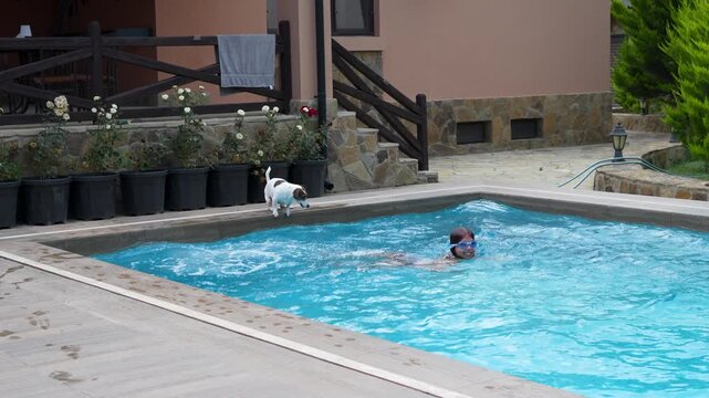 Young girl jumping into outdoor pool as Jack Russell terrier dog runs around the edge during sunny summer day.