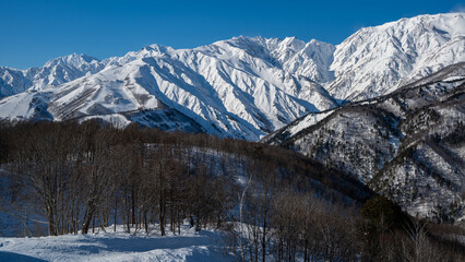 スキー場ゲレンデ風景と北アルプス　長野県白馬村 © RATM
