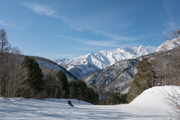 スキー場ゲレンデ風景と北アルプス　長野県白馬村 © RATM