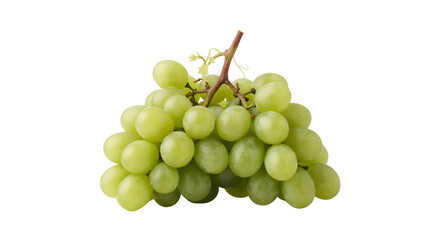 Fresh green grapes bunch on vine isolated on transparent background © NEST
