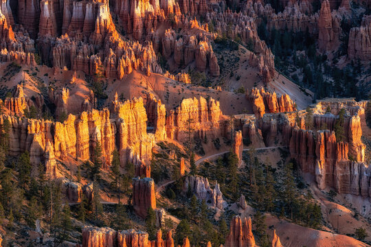 Bryce Canyon Sunrise View