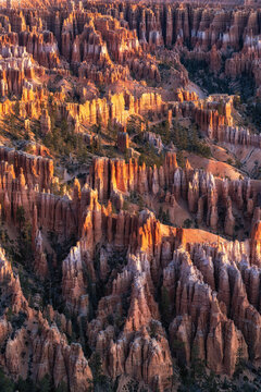 Bryce Canyon Sunrise View