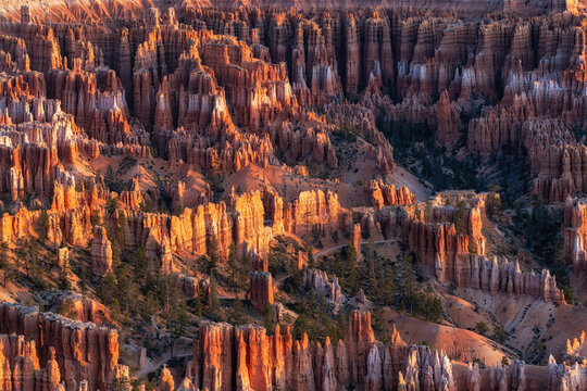 Bryce Canyon Sunrise View