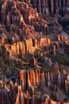 Bryce Canyon Sunrise View