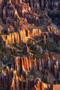 Bryce Canyon Sunrise View