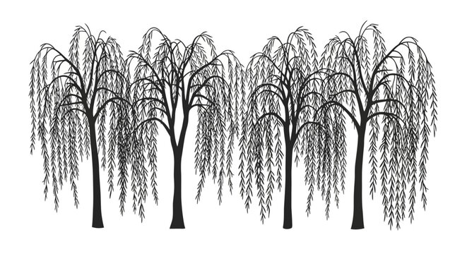 Four black weeping willow trees on white background with digital illustration four drawing graphic element nature botany design plant with icon
