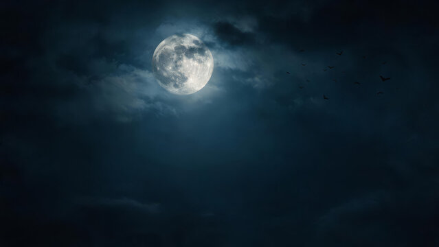 Atmospheric Halloween night sky with full moon and flying bats