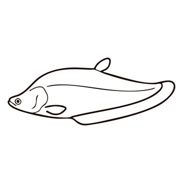 Featherback Knife Fish Line Art - Exotic Freshwater Fish Vector Illustration for Aquarium Club Logos, Angling Equipment Badges, and Seafood Menus