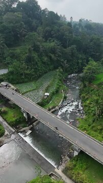 Drone footage showing a small bridge crossing through expansive agricultural land surrounded by green rice fields and rural scenery.