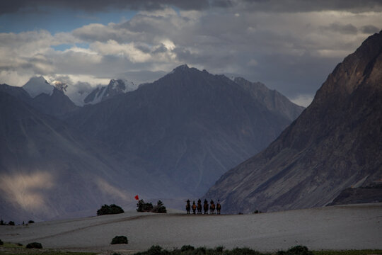 Camel caravan silhouette in Hunder sand dunes Ladakh India