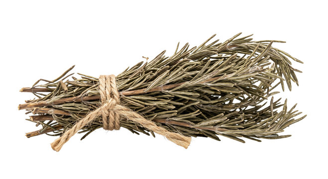 Bundle of dried rosemary sprigs tied with natural twine on a white background
