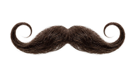 Obraz premium Elaborate curled brown mustache on a white background