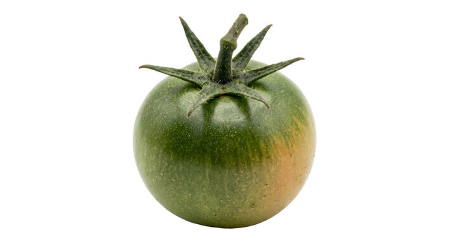 Single unripe green tomato with stem and sepals on a white background
