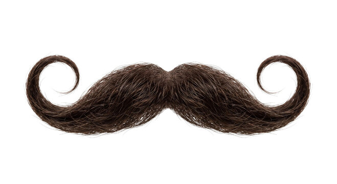 Elaborate curled brown mustache on a white background