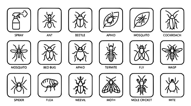 Pest Control Insect Line Icons, Ant Beetle Mosquito Cockroach and Termite Vector Icon Set for Extermination Service Design