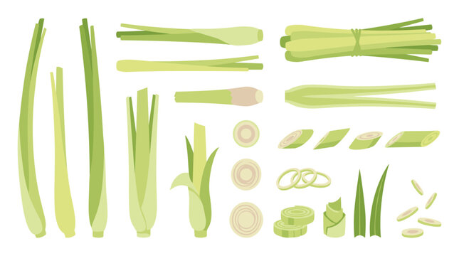Set of fresh lemongrass stalks, chopped slices, and bundles, green aromatic herb for cooking, healthy organic ingredient for culinary design
