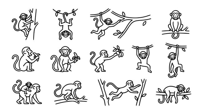 Playful monkey jungle poses climbing hanging banana outline vector icons