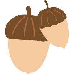Autumn Acorns Illustration – Cute Hand Drawn © PINIT