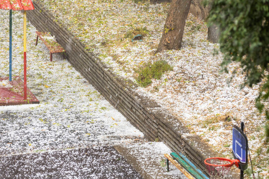 Severe hailstorm