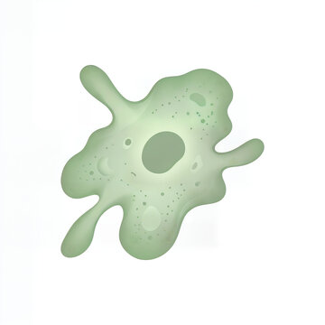 Green single-celled amoeba organism illustration on white background