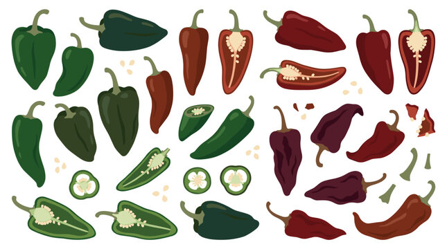 Set of assorted fresh chili peppers in various ripeness stages, sliced and whole vegetable elements, culinary seasoning, spicy ingredient, organic