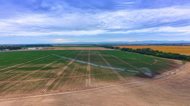 Center pivot irrigation system watering green crop field. Aerial high angle view of linear sprinkler spraying water on agricultural field under blue cloudy sky.